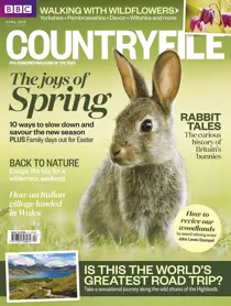 April 2018 
                issue April 2018