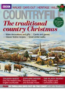 December 2012 
                issue December 2012