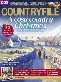 December 2016 
                issue December 2016