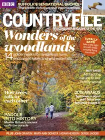 November 2017 
                issue November 2017