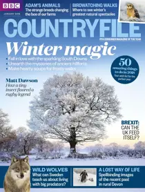 January 2018 
                issue January 2018