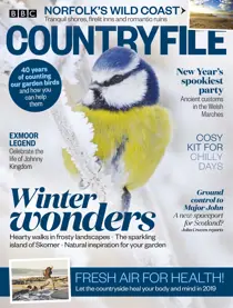 January 2019 
                issue January 2019