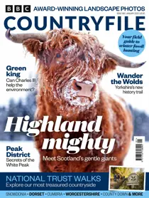 January 2023 
                issue January 2023