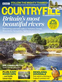 July 2018 
                issue July 2018