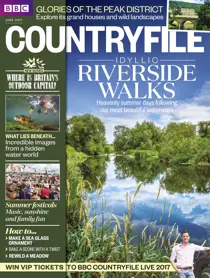 June 2017 
                issue June 2017