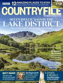 June 2018 
                issue June 2018