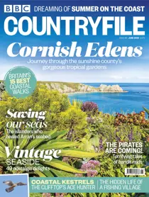 June 2020 
                issue June 2020