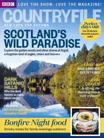 November 2014 
                issue November 2014