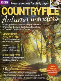 November 2016 
                issue November 2016