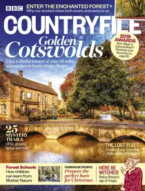 November 2018 
                issue November 2018