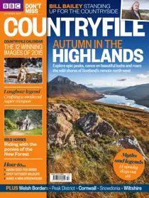 October 2015 
                issue October 2015