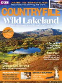 October 2017 
                issue October 2017