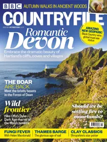 October 2020 
                issue October 2020