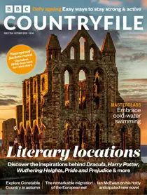 Complete Your Collection Cover 2