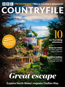 October 2026 
                issue October 2026