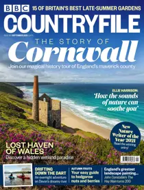 Sep-21 
                issue Sep-21