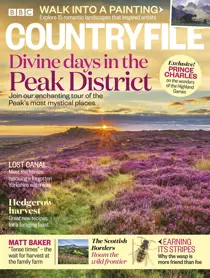 September 2018 
                issue September 2018