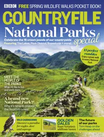 Special 2019 
                issue Special 2019