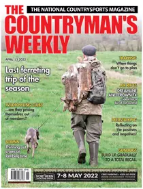 13th April 2022 
                issue 13th April 2022