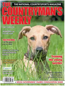 13th October 2021 
                issue 13th October 2021