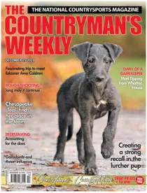 15th December 2021 
                issue 15th December 2021