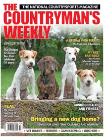 15th September 2021 
                issue 15th September 2021