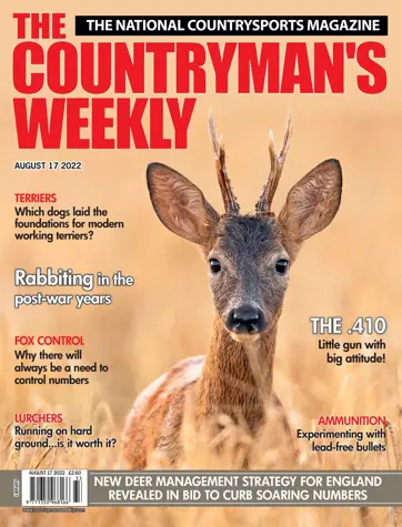 Countryman's Weekly Preview