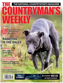 17th November 2021 
                issue 17th November 2021