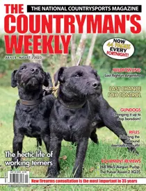 19th July 2023 
                issue 19th July 2023