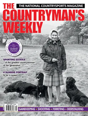 Countryman's Weekly Preview