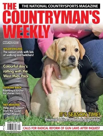 Countryman's Weekly Preview