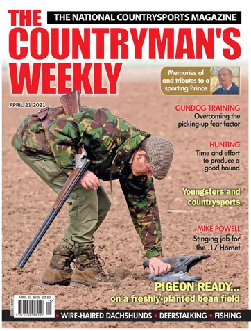 Countryman's Weekly Preview