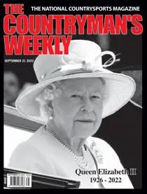 21st September 2022 
                issue 21st September 2022