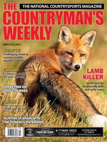 Countryman's Weekly Preview