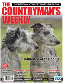 23rd February 2022 
                issue 23rd February 2022