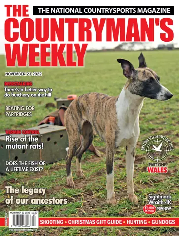 Countryman's Weekly Preview