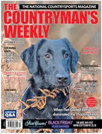 24th November 2021 
                issue 24th November 2021