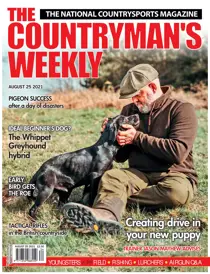 25th August 2021 
                issue 25th August 2021