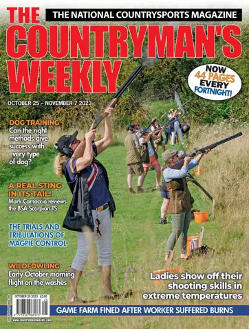 Countryman's Weekly Preview