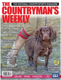 26th January 2022 
                issue 26th January 2022