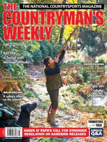 26th October 2022 
                issue 26th October 2022