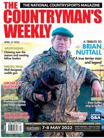 27th April 2022 
                issue 27th April 2022