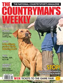 29th June 2022 
                issue 29th June 2022