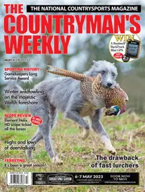 29th March 2023 
                issue 29th March 2023