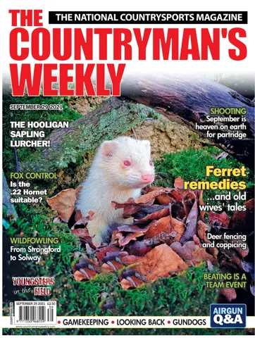 Countryman's Weekly Preview