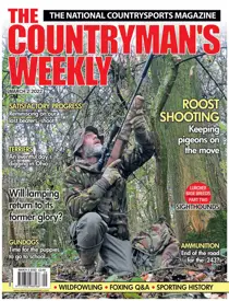 2nd March 2022 
                issue 2nd March 2022