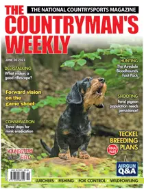 30th June 2021 
                issue 30th June 2021