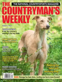 3rd August 2022 
                issue 3rd August 2022