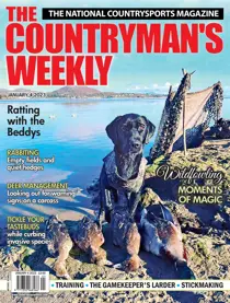 4th January 2023 
                issue 4th January 2023