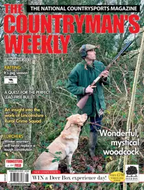 8th February 2023 
                issue 8th February 2023